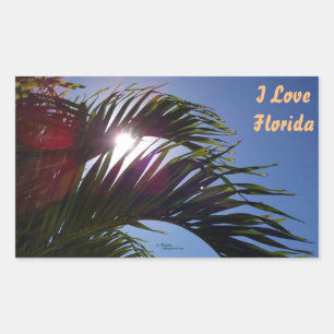 Palm Trem I Liebe Florida Stickers