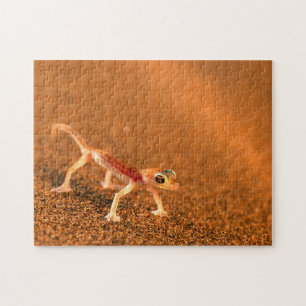 Palmatogecko auf Sanddüne, Swakpomund, Erongo