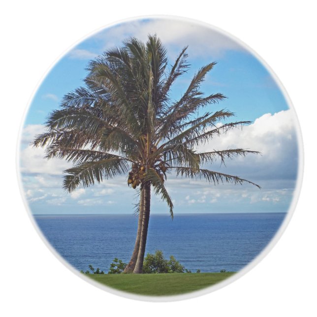PALMBAUM AUF BLUFF ÜBER DEM OZEAN KERAMIKKNAUF (Vorderseite)
