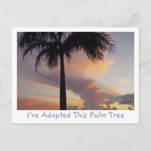 PALMBAUM GEGEN LAVENDER, PEACH, GOLDSONNENGESCHIRR POSTKARTE
