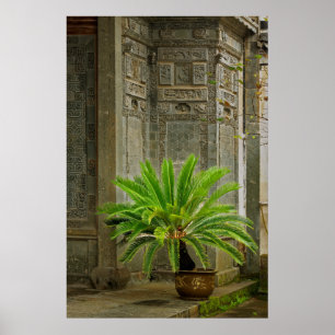 Palmbaum Hongcun, China Poster