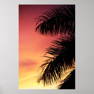 PALMBAUM WÄHREND DES SONNENS UNTER SCHÖNEM HIMMEL POSTER