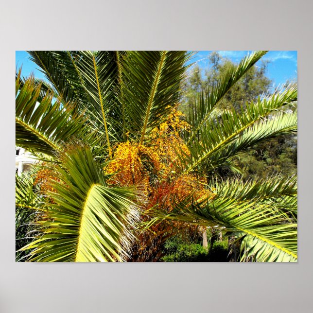 PalmbaumbaumBlätter und Blume Poster (Vorne)