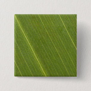 Palmbaumblatt Button