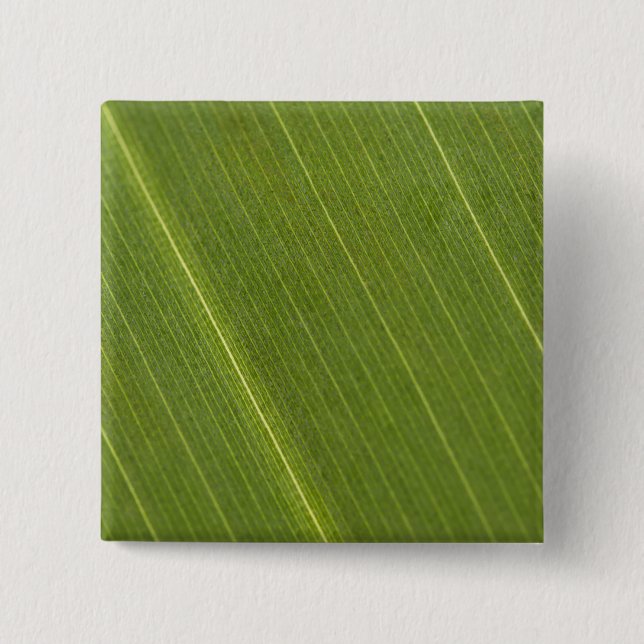 Palmbaumblatt Button (Vorderseite)