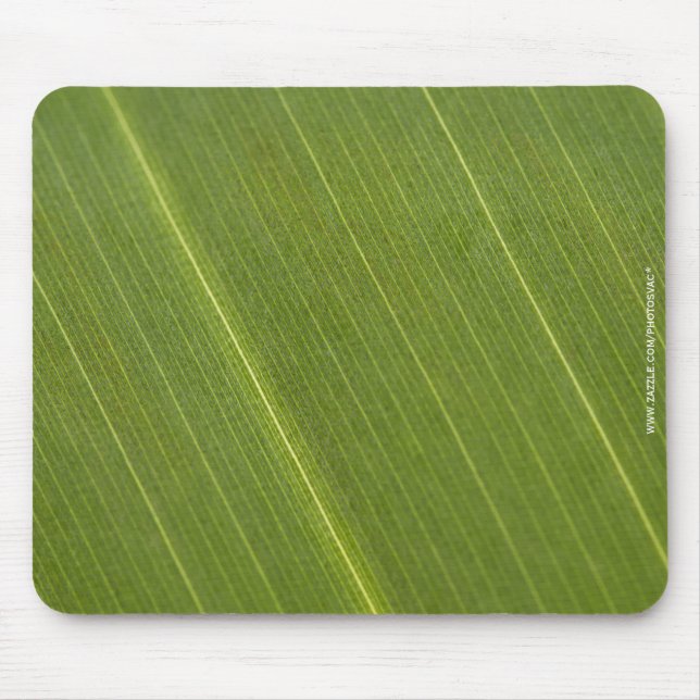 Palmbaumblatt Mousepad (Vorne)