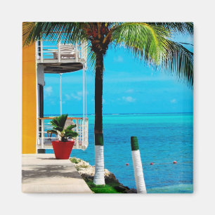 Palme am Vorgarten eines Hauses durch das Meer Magnet