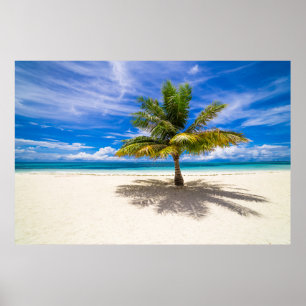 Palme auf weißem Sand-Strand Poster