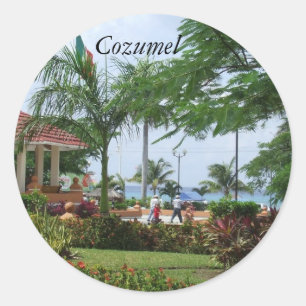 Palme-Aufkleber Cozumel tropische Runder Aufkleber