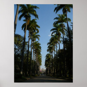 Palme-Boulevard Poster