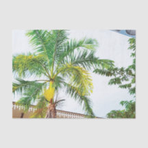 Palme des tropischen Gewebepapiers