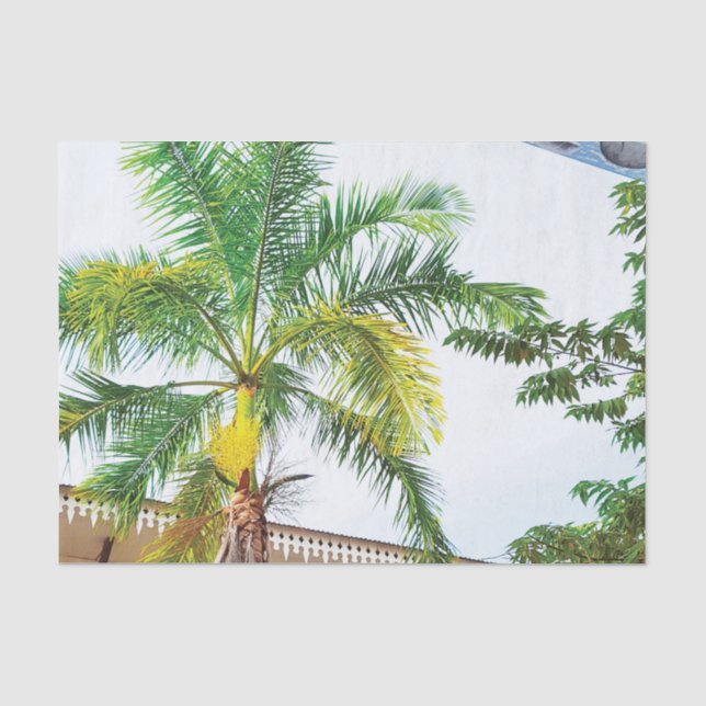 Palme des tropischen Gewebepapiers Seidenpapier (Vorderseite)