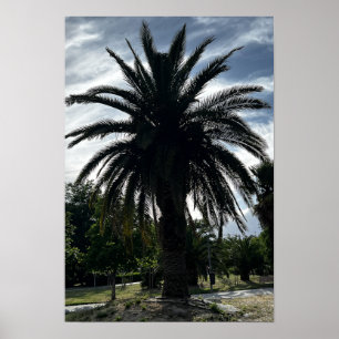 Palme gegen den blauen Himmel Poster