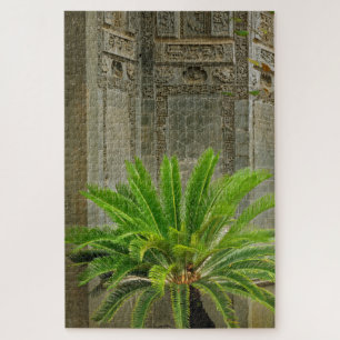 Palme   Hongcun, China