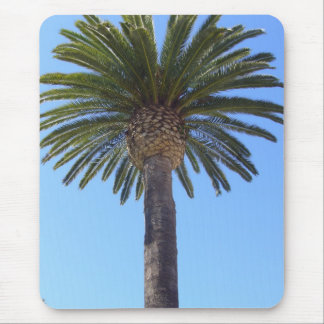 Palme in San Diego, CA Mousepad