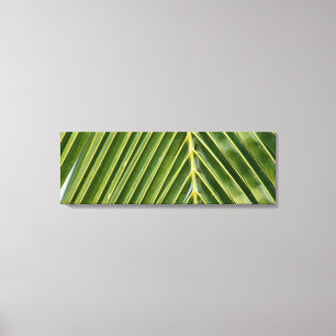Palme Leinwanddruck