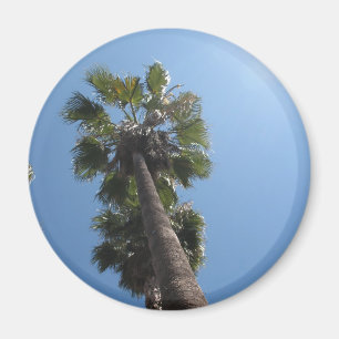 Palme-Magnet Magnet