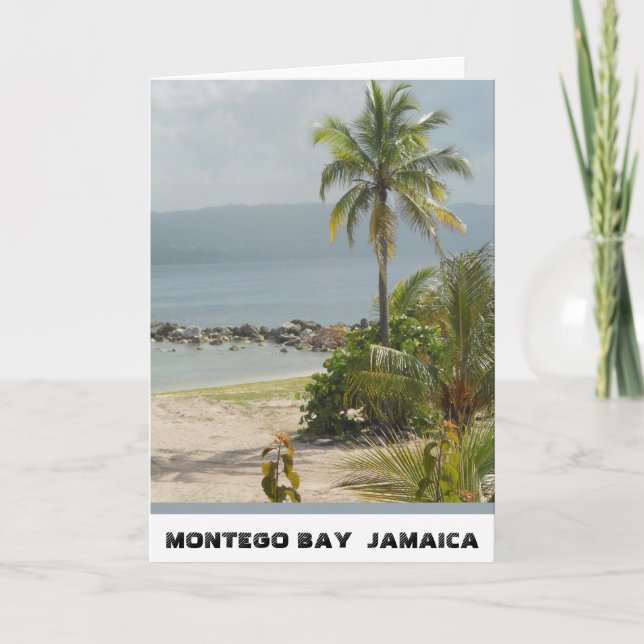 Palme, Montego Bay Jamaika im Juni 2011 Karte (Vorderseite)