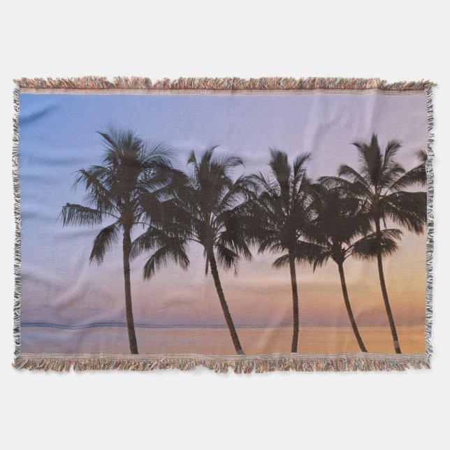 Palme, morgens decke (Vorderseite)