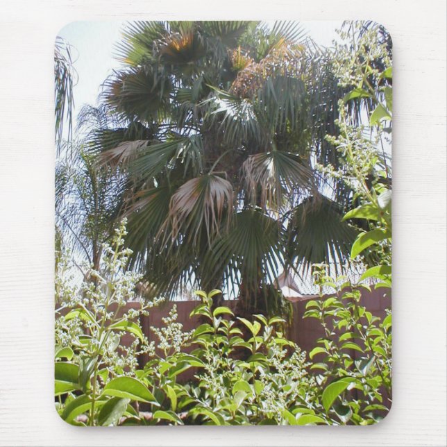 Palme Mousepad (Vorne)
