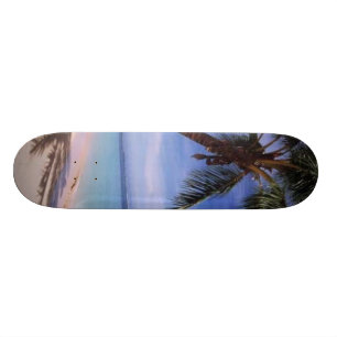 Palme-Skateboard Skateboard