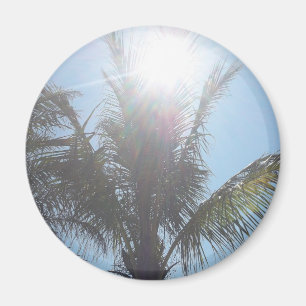 Palme-Sommer-Tag Magnet