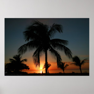 Palme-Sonnenuntergang Poster