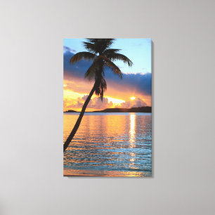 Palme und karibischer Sonnenuntergang-Himmel, St Leinwanddruck