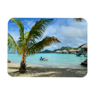 Palme und overwater Erholungsortrechteckmagnet Magnet