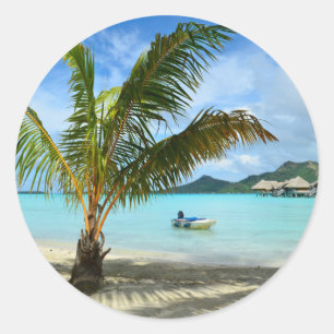 Palme und runder Aufkleber overwater