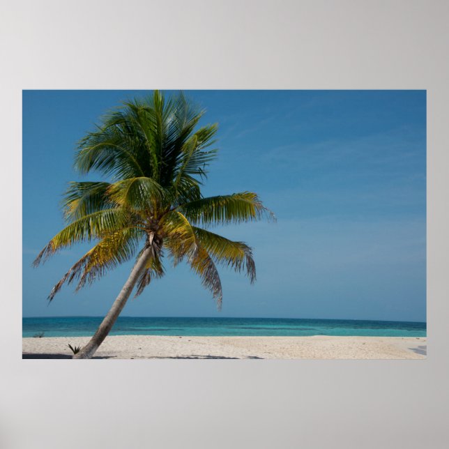 Palme und weißer Sandstrand 2 Poster (Vorne)