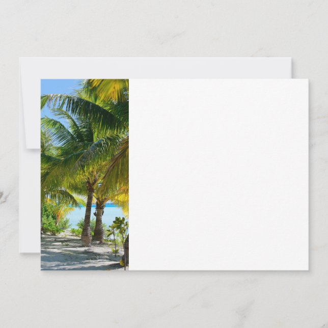 Palmen (Vorderseite)