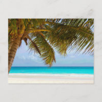 Palmen am Blue Sea & Sky