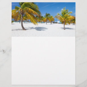 Palmen am Strand Flyer