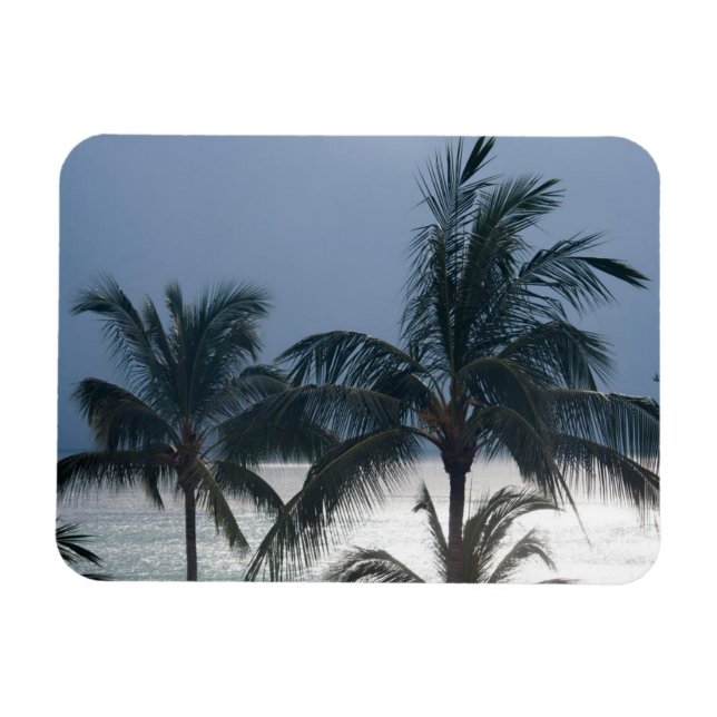Palmen am Strand Magnet (Horizontal)