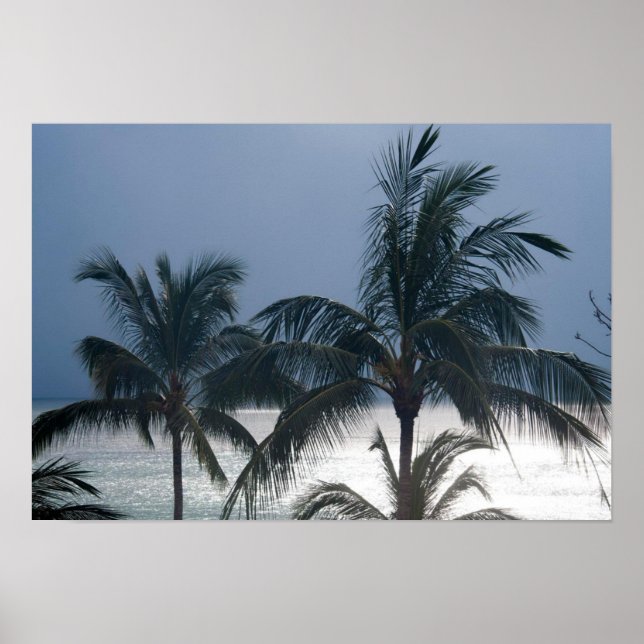 Palmen am Strand Poster (Vorne)