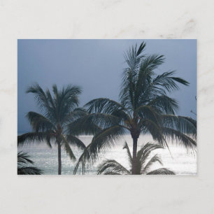 Palmen am Strand Postkarte