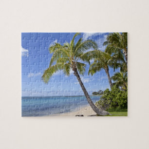 Palmen am Strand von Hawaii.
