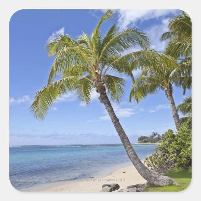 Palmen am Strand von Hawaii. Quadratischer Aufkleber (Vorderseite)
