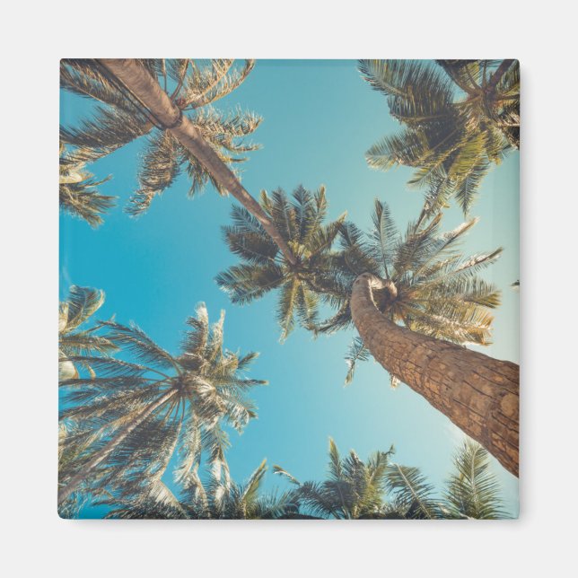 Palmen am Vintagen Tropical Beach Magnet (Vorne)