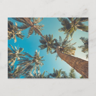 Palmen am Vintagen Tropical Beach Postkarte