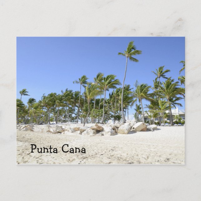 Palmen an einem tropischen Strand Postkarte (Vorderseite)