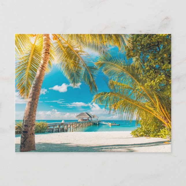Palmen auf dem Sonnenuntergang Postkarte (Vorderseite)