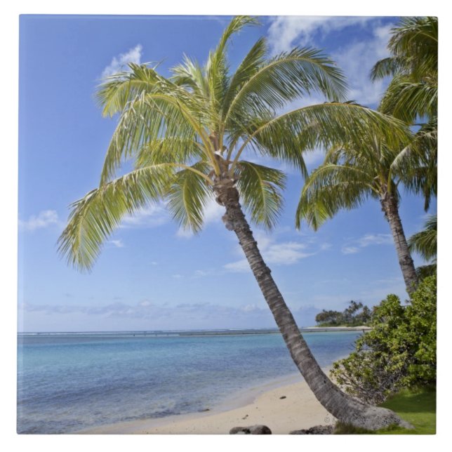 Palmen auf dem Strand in Hawaii Fliese (Vorderseite)