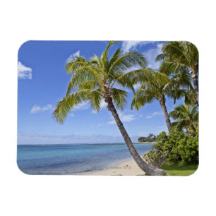 Palmen auf dem Strand in Hawaii Magnet