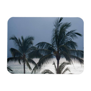 Palmen auf dem Strand Magnet