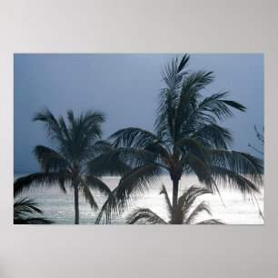 Palmen auf dem Strand Poster