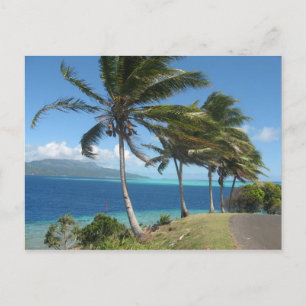 Palmen auf der Insel Taha'    aTahiti Postkarte