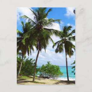 Palmen auf der tropischen Seascape Postkarte