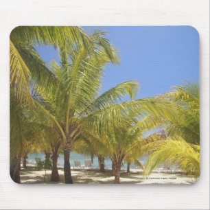 Palmen auf einem weißen Sand-Strand Hondurass Mousepad